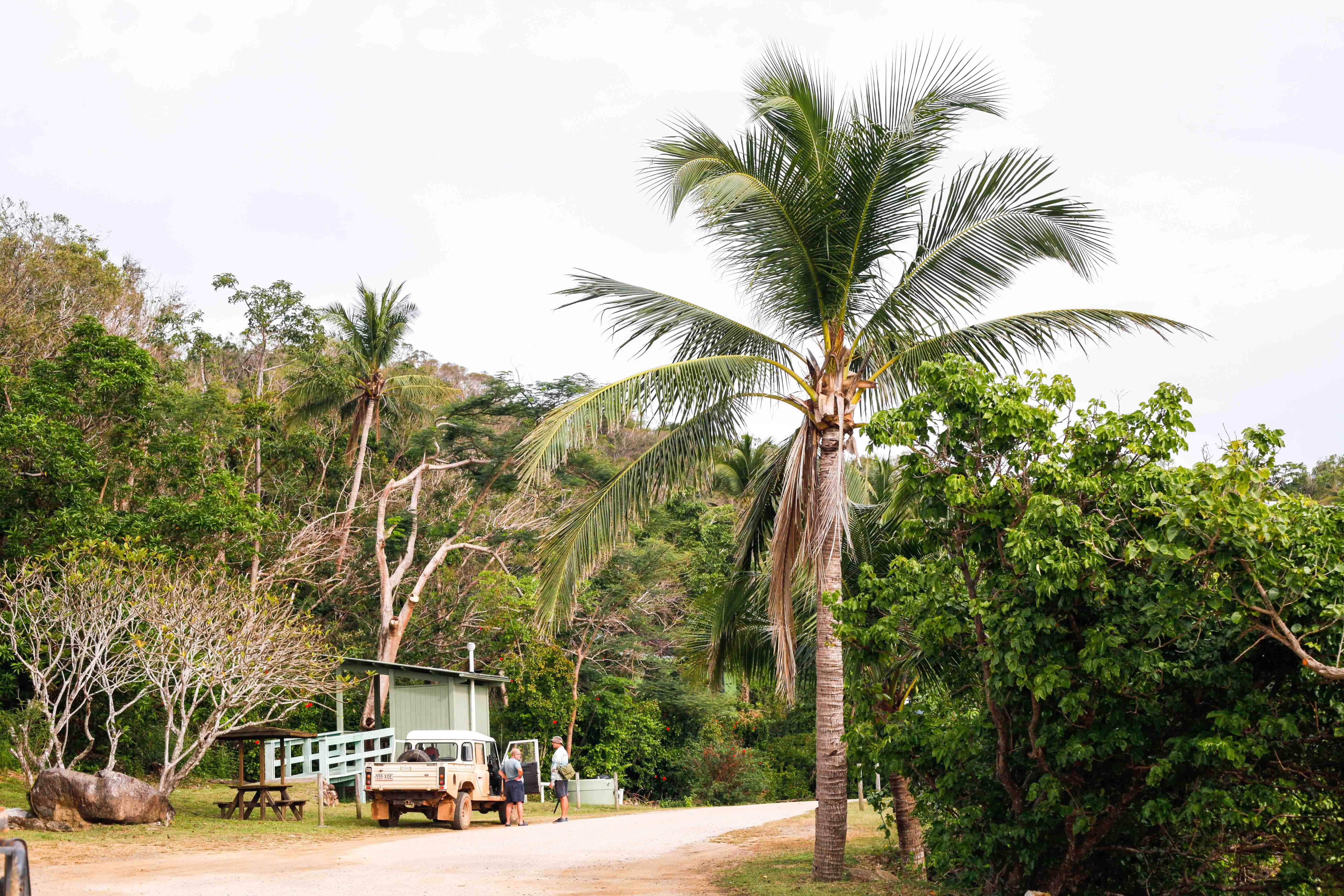 Greenhoose Lockhart River Shuttle Service